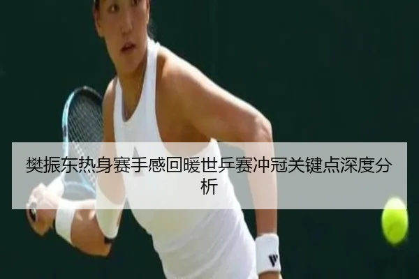 樊振东热身赛手感回暖世乒赛冲冠关键点深度分析
